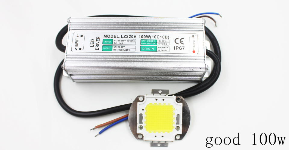 Real Full Watt 10W 20W 30W 50W 100w High Power COB LED chip lampadina con driver LED per proiettore fai da te Spot light Prato