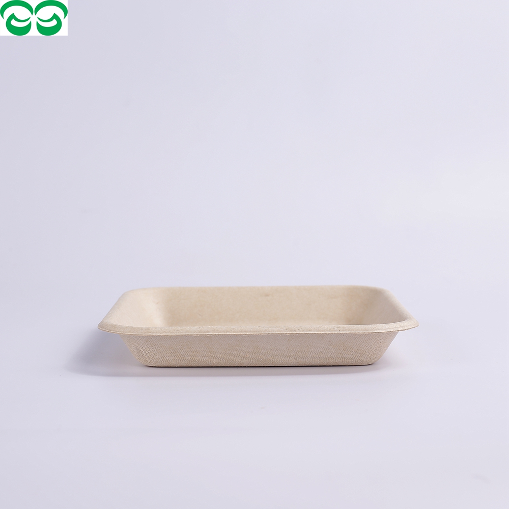 Dinnerware Sets bagasse Tray