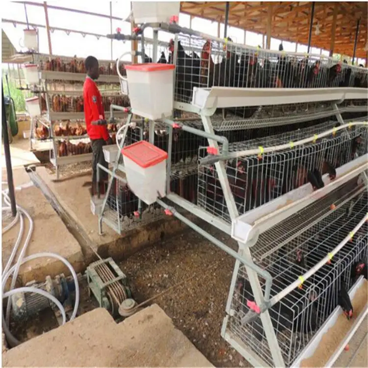 Super September low price poultry battery cages for layer chicken farms in ghana