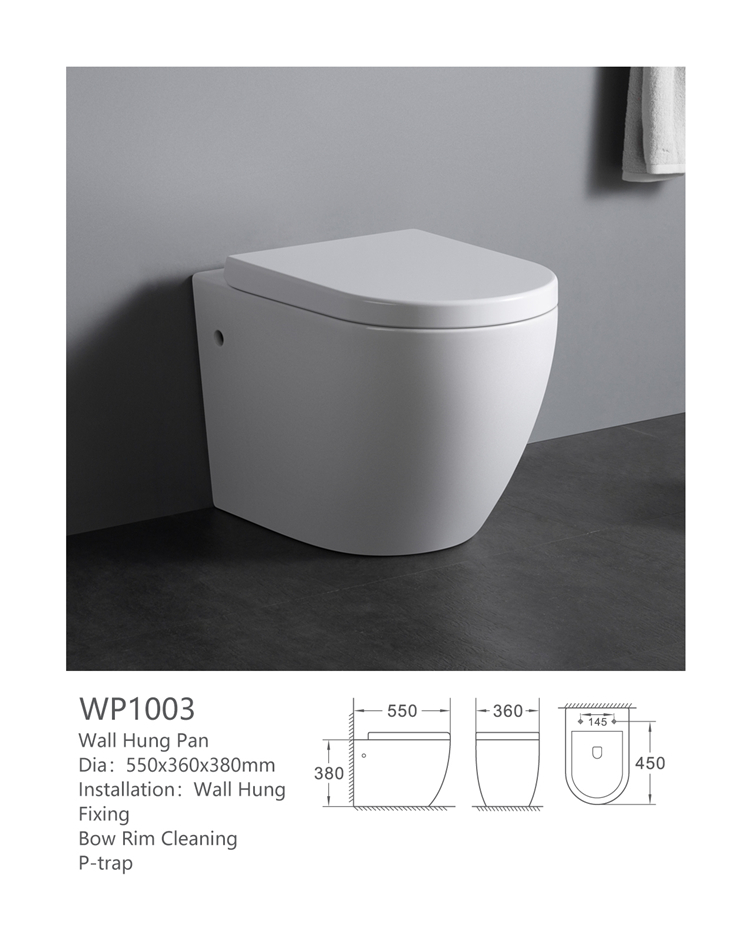 WP1003 Western design high grade wall mounted white porcelain bathroom toilets