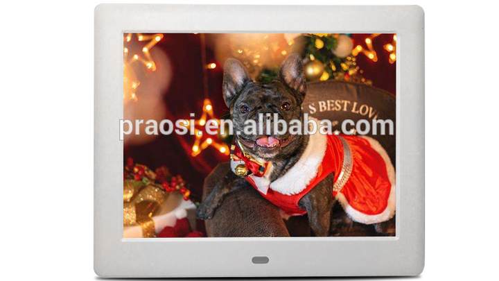 8 inch size screens songs video 3gp free download