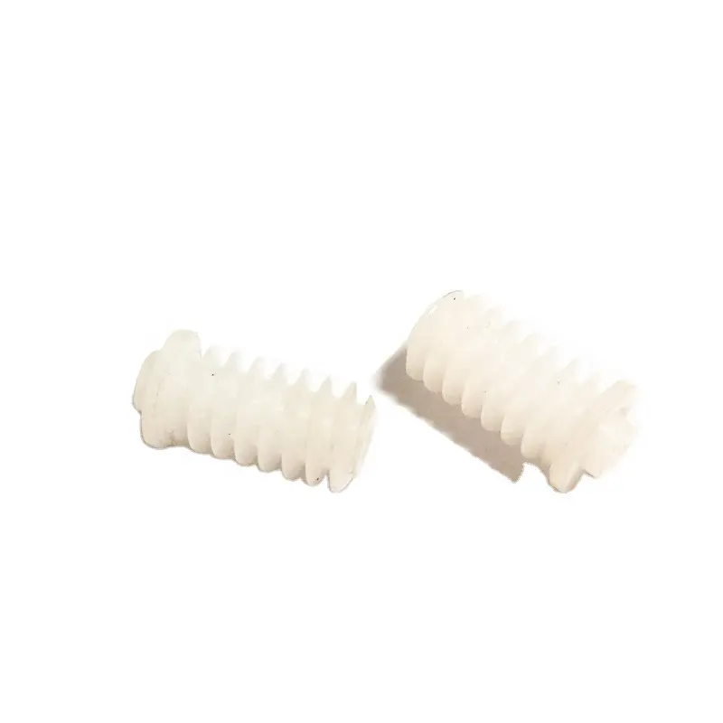 Custom Plastic Mini Worm Gear