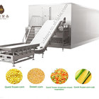Hot sale fuidized iqf freezer tunnel blast freezer iqf machine price