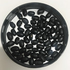 kidney bean soya bean for black kidney bean buyers