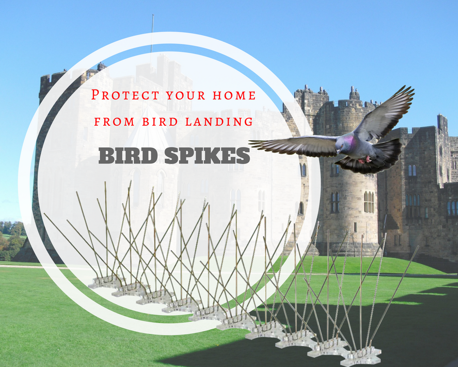 Plastic Bird Deterrent Anti Theft Climb Strips Bird Spikes Garden Outdoor Plastic Anti Bird Spikes Professional Pest Control
