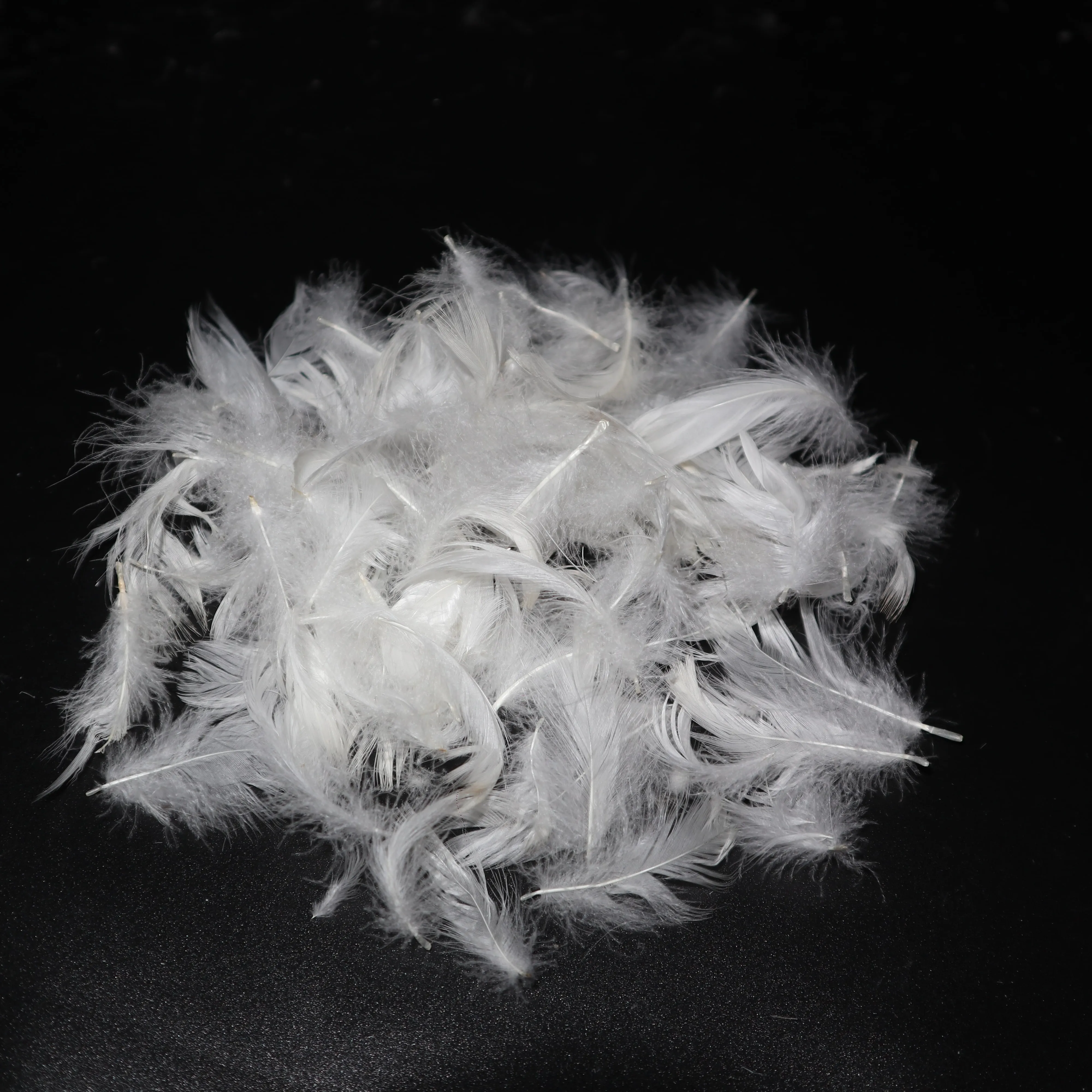 Washed white duck feather used for blanket and cushion