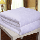 Factory Soft Mulberry Silk Quilt 100% Pure Silk Handmade adults custom good quality