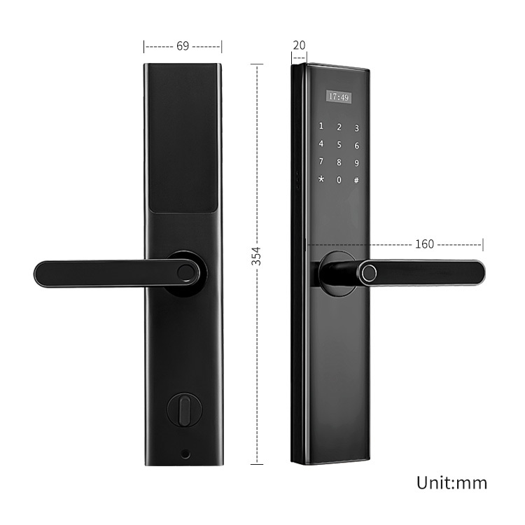 Tediton Tuya Wifi Biometric Fingerprint Intelligent Digital Push Pull Smart Door Lock
