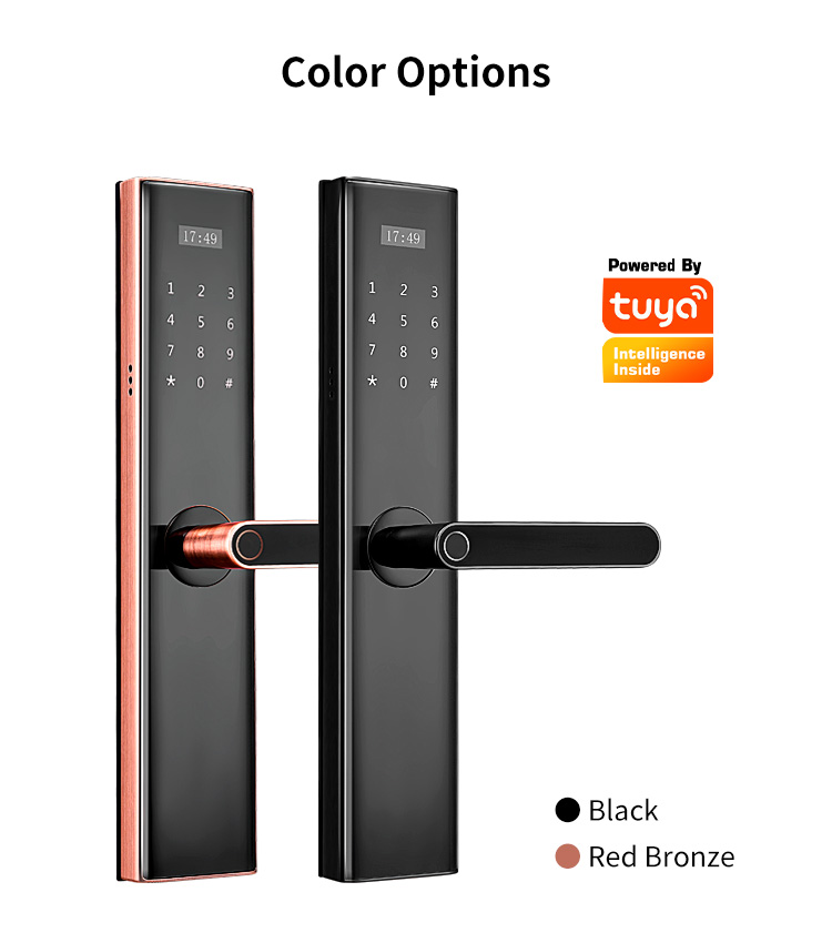 Tediton Tuya Wifi Biometric Fingerprint Intelligent Digital Push Pull Smart Door Lock