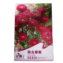 supply ready to ship China aster seeds with small flower seeds bags $0.59/bags
