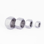 ss304 Nuts DIN934 316 Hex Nuts Bindng Nuts Fasteners