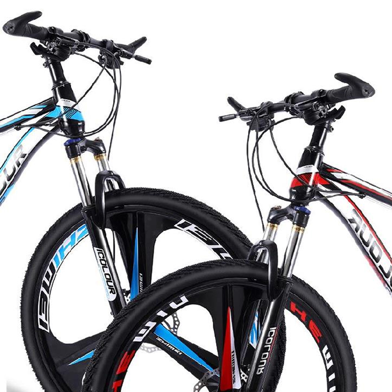 icolour mountain bike