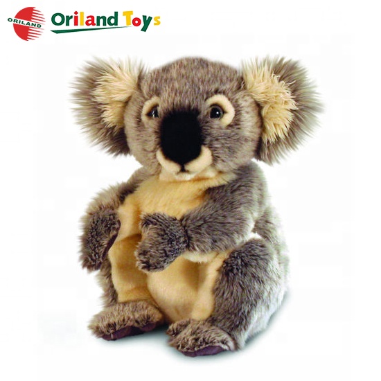 koala bear cuddly toy