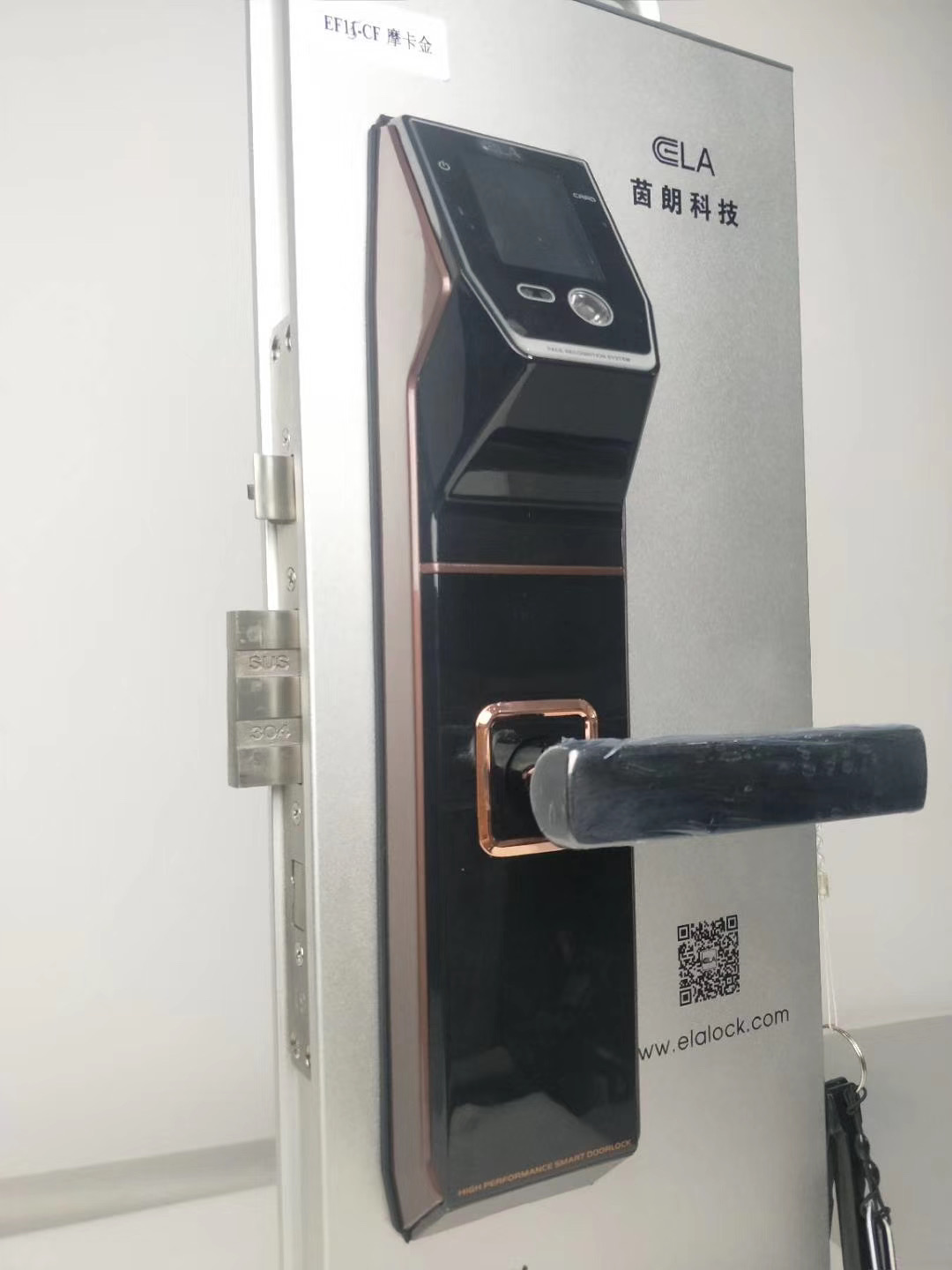 Tediton Smart Face Recognition Digital Door Handle Lock with Fingerprint Code Card Key