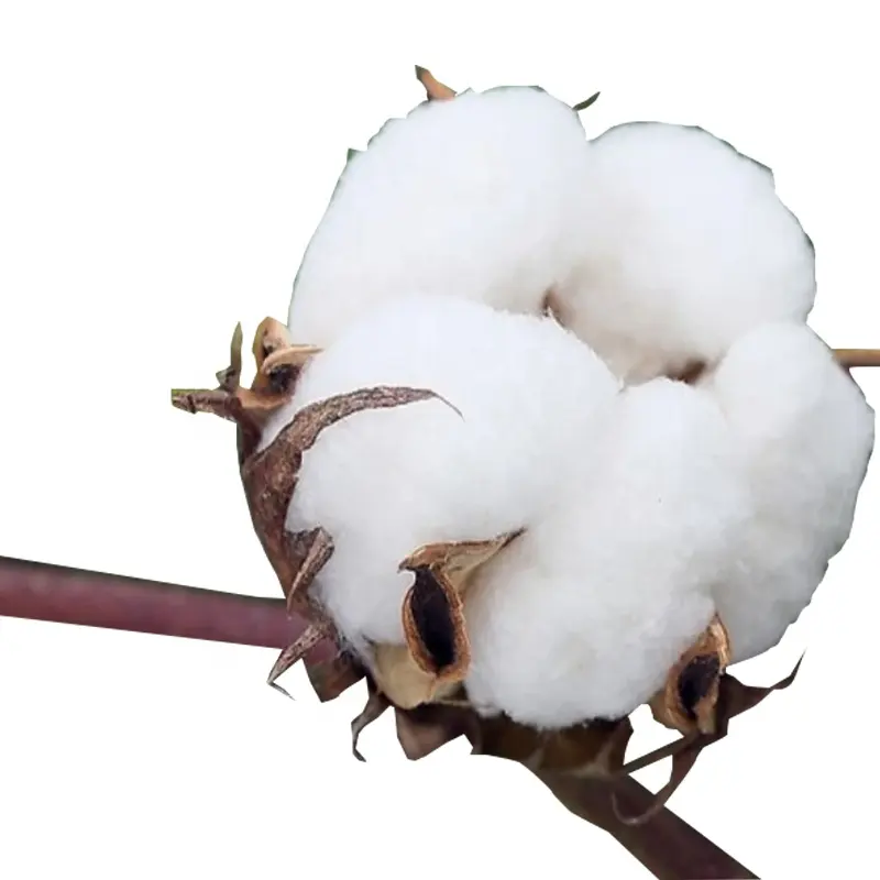Bulk Raw Cotton Fabric Yarn 100% Price