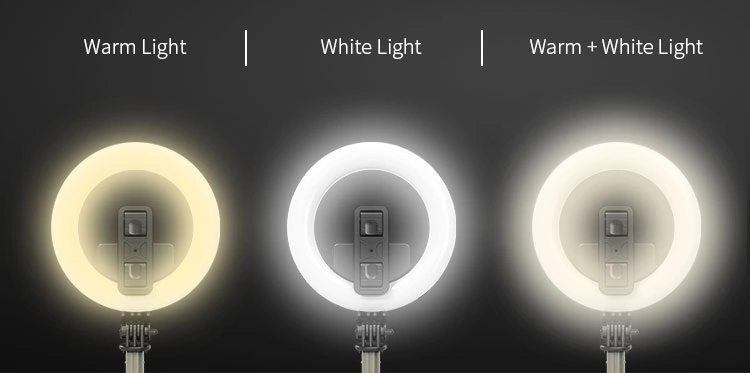 Bâton de selfie extensible bague lumière L07 dans trépied Avec 5 pouces anneau lumière télécommande sans fil Selfie bâton