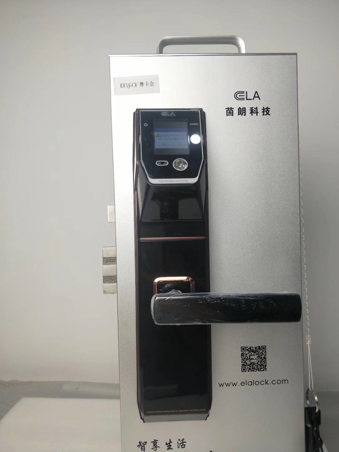 Tediton Smart Face Recognition Digital Door Handle Lock with Fingerprint Code Card Key
