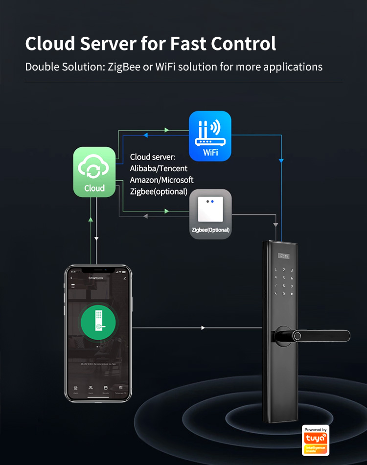 Tediton Tuya Wifi Biometric Fingerprint Intelligent Digital Push Pull Smart Door Lock