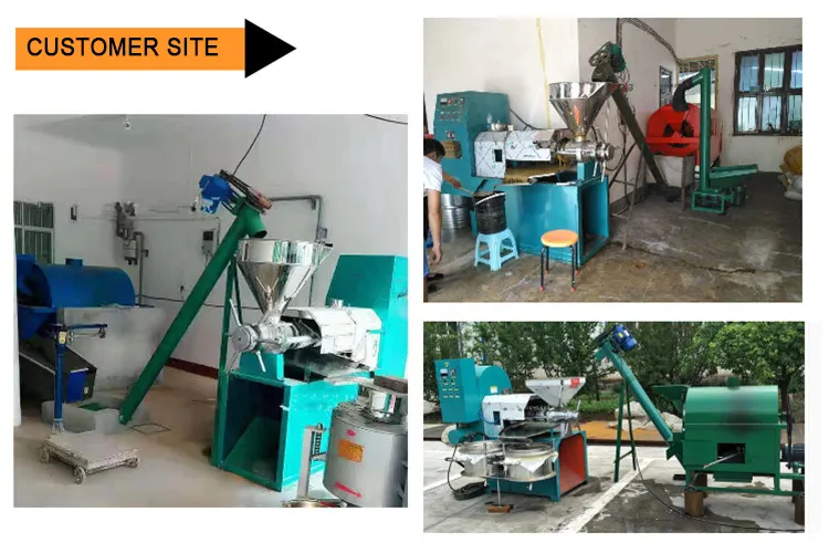 Black Pepper Master Oil Making Machine Coconut hydraulic Oil Extraction Machine For Price