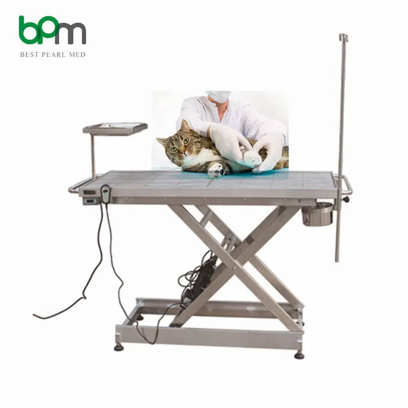 Electric Surgical Veterinary Vet Simple Pet Operating Table For Animal Pets