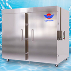 Iqf Quick Freeze Machine Blast Freezer Liquid Nitrogen Plate Freezer