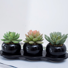 high quality wholesale beautiful ceramic potted assorted artificial succulent plants bonsai for home desk decoration
