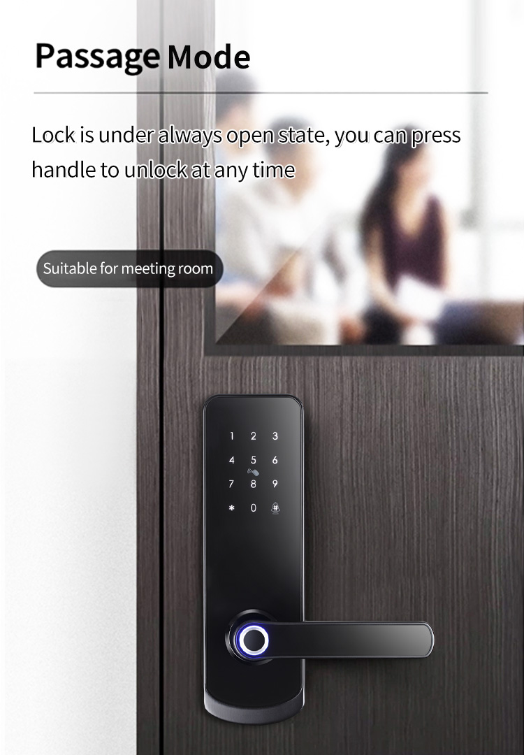 Tediton Keyless Smart Fingerprint Password System Digital Door Lock by Ttlock APP