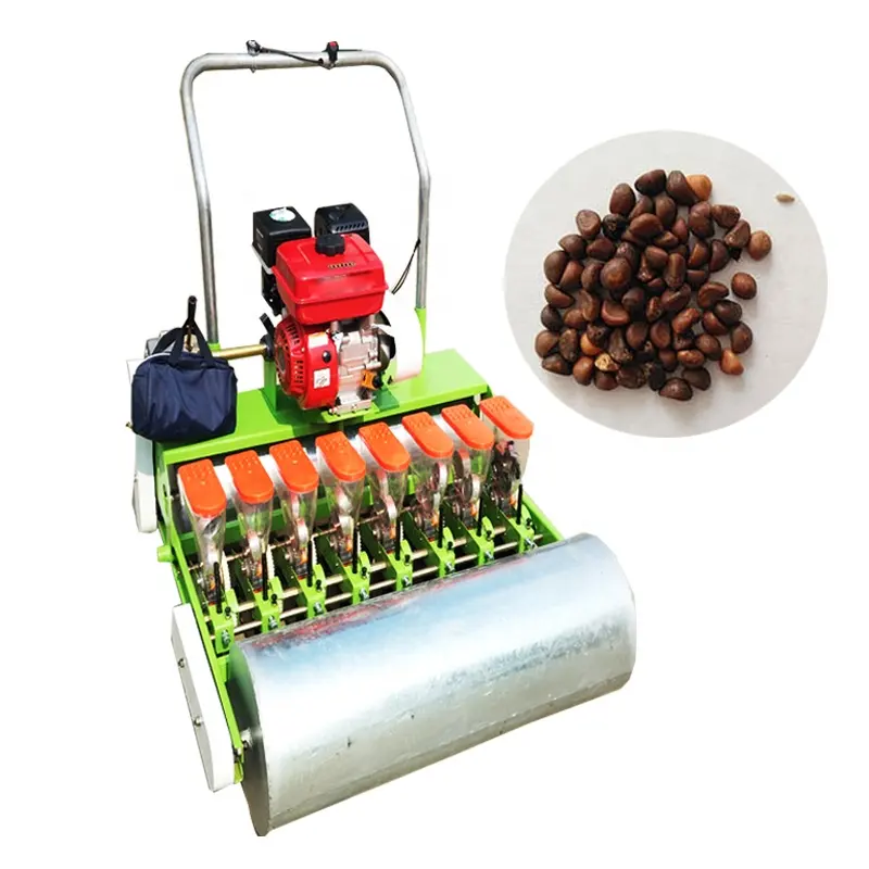 Automatic Seed Planting Machine Onion Planter Vegetable Seeder for Sale