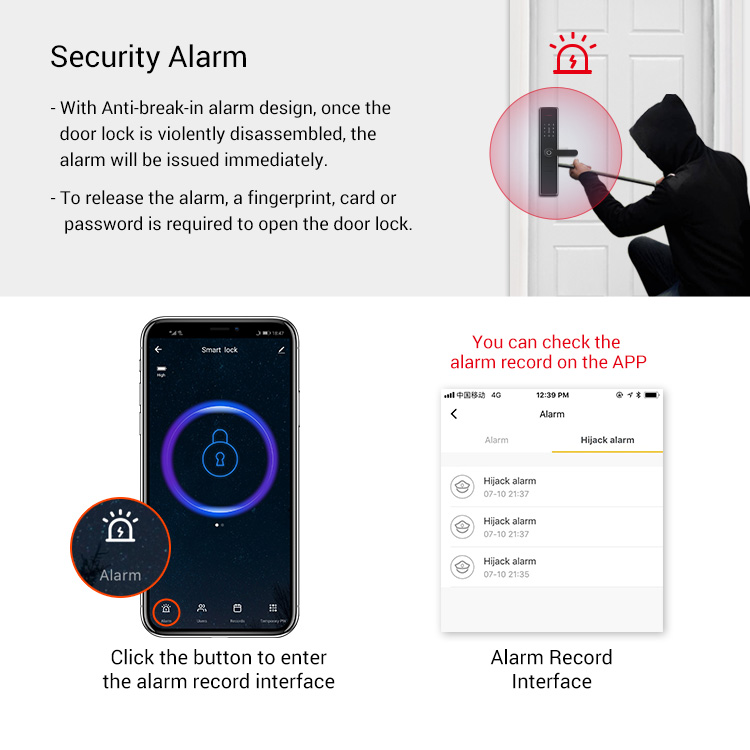 Tuya APP Wifi System Face Recognition Biometric Smart Door Lock for Home
