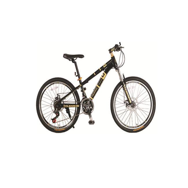 rocker mini downhill mtb