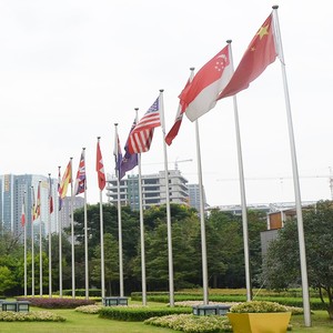 Uae Flag Uae Flag Suppliers And Manufacturers At Alibaba Com