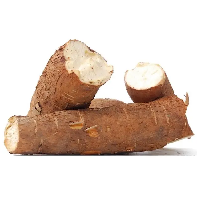 High quality Fresh/Dry Organic Cassava