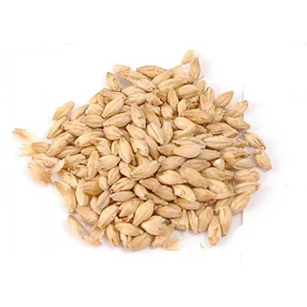 Ukrainian Barley/ Barley feed/human consumption