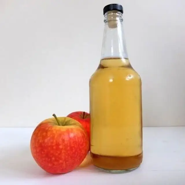 Оптовая поставка органического яблочного сидра Vinega