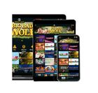 BGS gambling software developer - turnkey online casino software (Full Package)