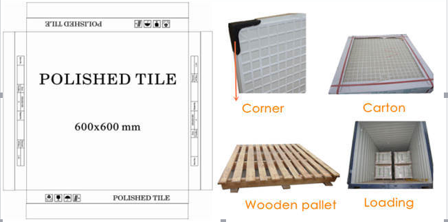 Allye Living rooms interior wall tile designs for importer in Afraic