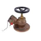High quality DN65 flanged inlet 2.5" pressure reducing wet landing fire hydrant valve