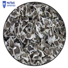 Moringa seed from India - ---- Whatsapp : +91 9791042002