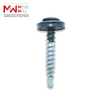 Taiwan Pan Paint Head Roofing Screw Zinc Plated