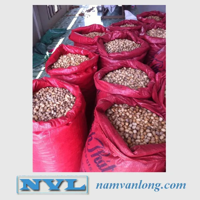 TOP QUALITY ! OFFER Dried Betel Nuts With High Quality And Competitive Price 2018