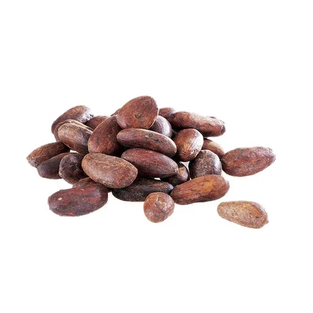 Высококачественные сушеные какао бобы для продажи, низкая цена