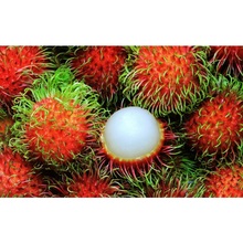 100% Natural Fresh Thai Rambutan Top Best Product Organic Type Brand Thai From Dinh Gia Company