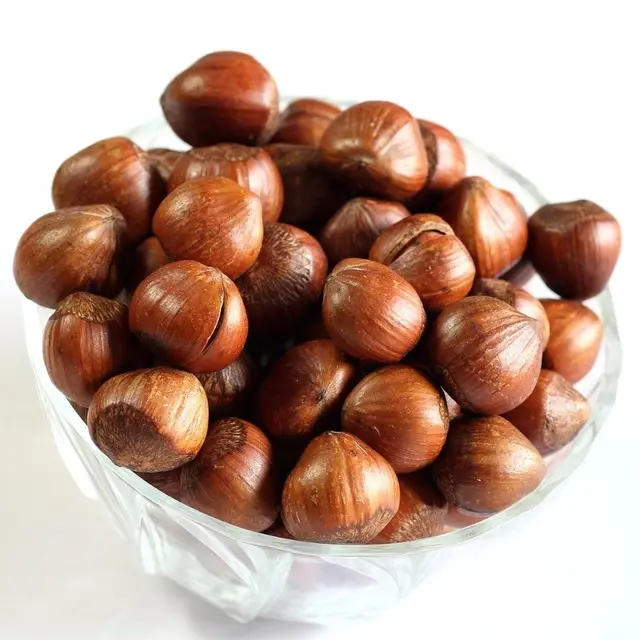 Hazelnuts suppliers Hazelnut kernels/Hazelnut in shell/ Organic hazelnut Roasted , Organic , Orginal Turkish High Quality
