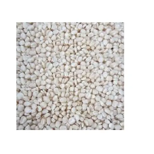 INDIAN SUPPLIER OF WHITE MAIZE AVAILABLE FOR EXPORT AT A CONSIDERABLE RATE