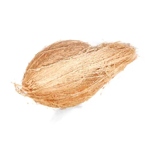 CHEAP PRICE HIGH QUALITY MATURE WHOLE SEMI HUSKED COCONUTS FROM VIETNAM