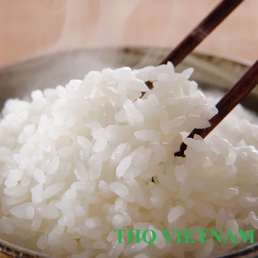 Certified Quality Jasmine - Long Grain White Rice/ ST24 FRom THQ Vietnam (Ms. Rose: +84 977 610 525)