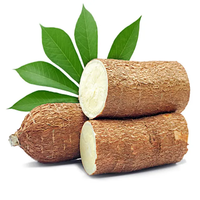 Organic/Natural Cheap High Quality Fresh Cassava for Sale