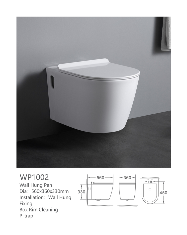 WP1002 Factory direct sell washdown wall hung toilet bowl with concealed cistern