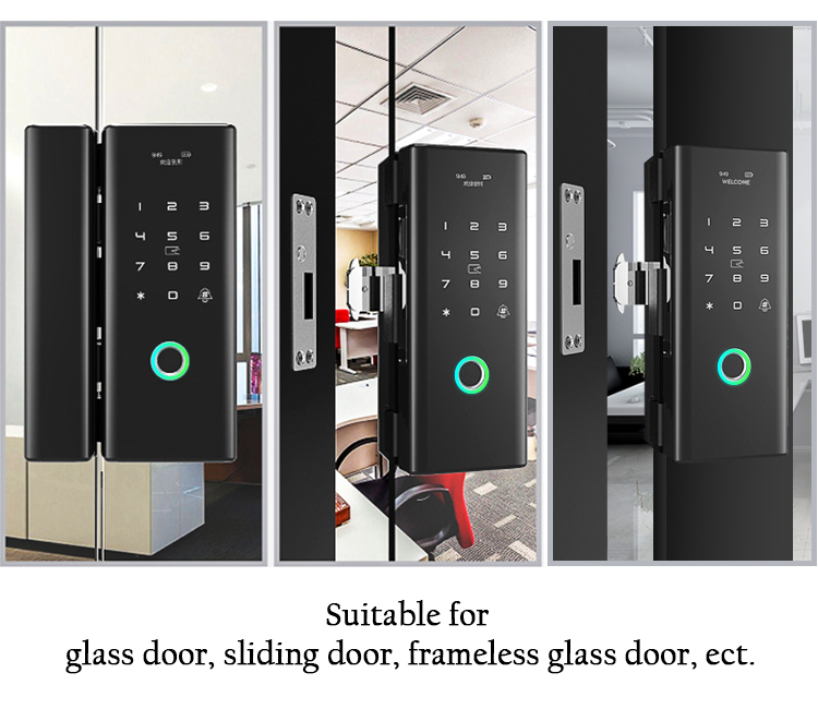 Luxury Keyless Biometric Fingerprint Password Rifd Digital Door Lock for Double Frameless Glass Door