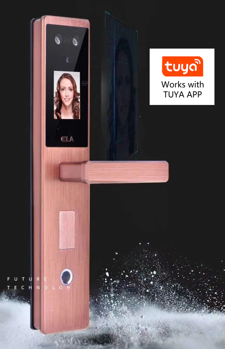 Tuya APP Wifi System Face Recognition Biometric Smart Door Lock for Home